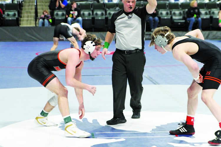 STATE WRESTLING Multiple area individuals earn medals to finish state
